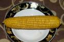 Как в кастрюле сварить кукурузу в початках (свежую и старую) Вареная кукуруза: особенности приготовления, тонкости и секреты варки